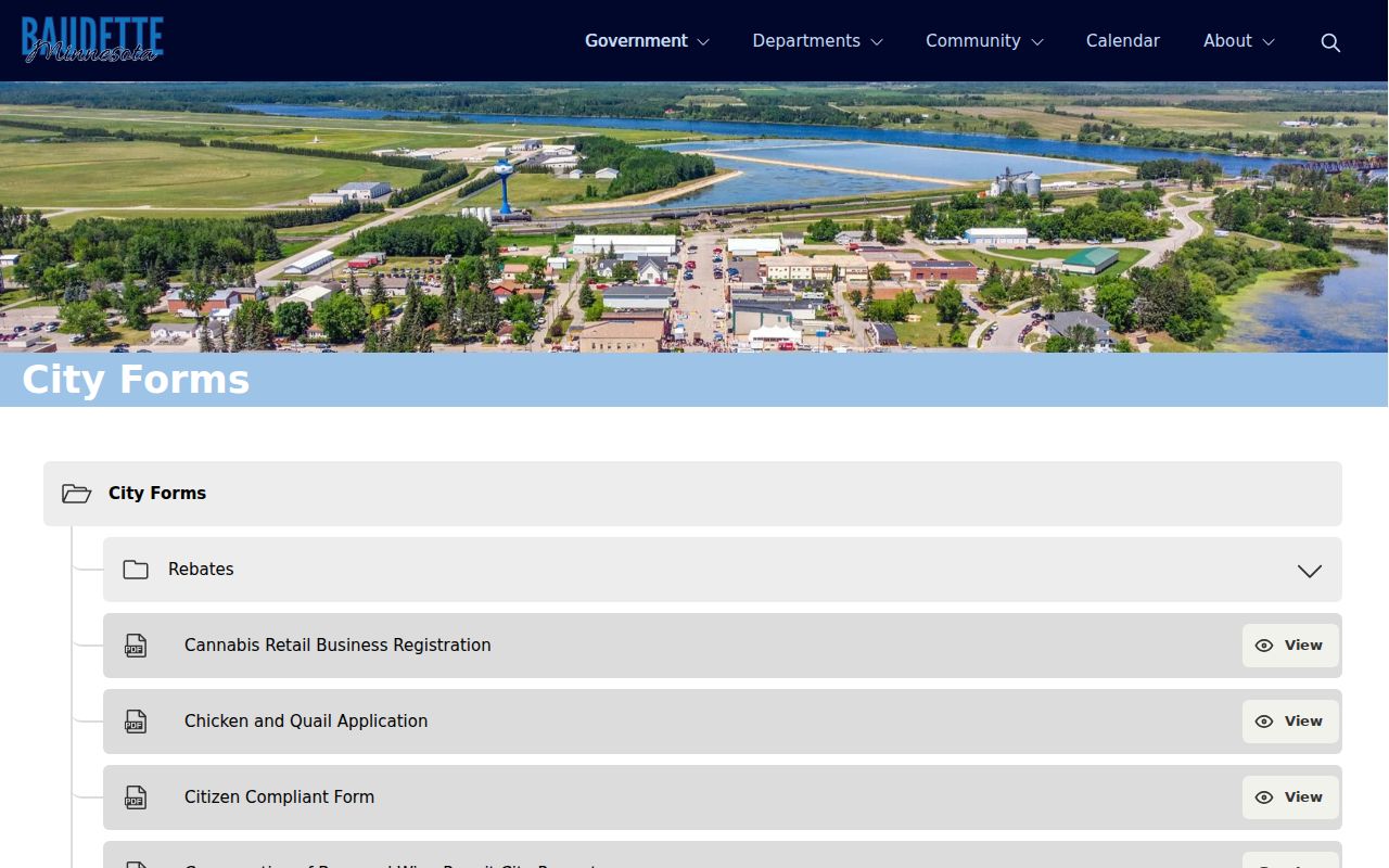 Baudette court records distinction from city forms source
