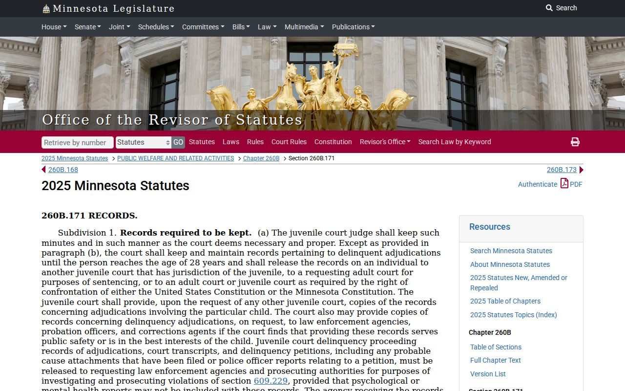 Lake of the Woods criminal dockets juvenile records confidentiality statute